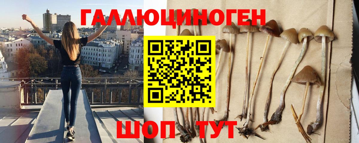 Галлюциногенные грибы Cubensis  Псилоцибиновые грибы Magic Shrooms  Вход с VPN  Заволжье 