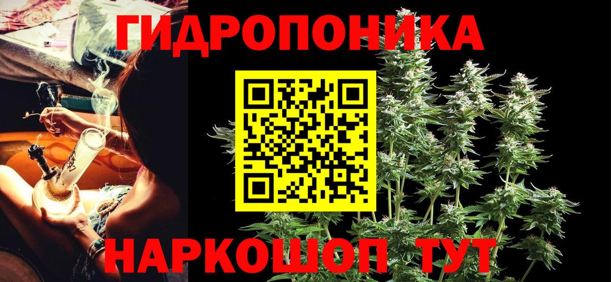 Шишки марихуана OG Kush  Бошки Шишки VHQ  Заволжье  Вход с VPN  МАРИХУАНА конопля 